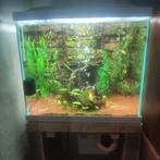 Aquarium complet, Animaux & Accessoires, Comme neuf