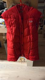 Bodywarmer Hollister, Ophalen, Maat 38/40 (M)