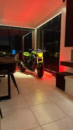 Triumph Street Triple 675 ( Circuit + Straat ), Plus de 35 kW, 3 cylindres, 675 cm³, Sport