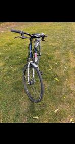 Damesfiets, Ophalen, 47 tot 50 cm, Versnellingen, Giant