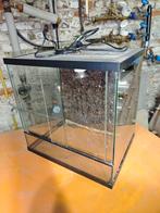 Terrarium 40x40x diepte 30cm met lamp, Dieren en Toebehoren, Reptielen en Amfibieën | Toebehoren, Ophalen of Verzenden, Zo goed als nieuw