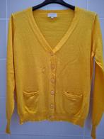 Cardigan 'NOT SHY' (katoen/cashmere) - maat 38, Ophalen of Verzenden, Maat 38/40 (M)