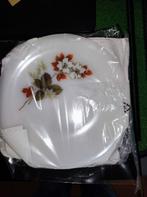 6 assiettes Arcopal, Ophalen