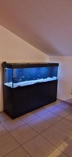 Aquarium Aqualife, Dieren en Toebehoren, Ophalen, Zo goed als nieuw
