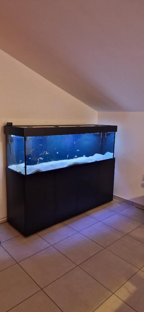 Aquarium Aqualife, Dieren en Toebehoren, Vissen | Aquaria en Toebehoren, Zo goed als nieuw, Ophalen