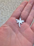 Enkele zilveren Libelle oorbel 925 gestempeld, Enlèvement ou Envoi