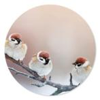 Muurcirkel Birds, Ophalen of Verzenden, Nieuw