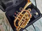 Bb-trompet, Muziek en Instrumenten, Ophalen, Zo goed als nieuw, Overige typen, Met koffer