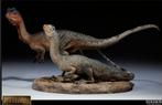 GEZOCHT Sideshow dinosauria, Ophalen