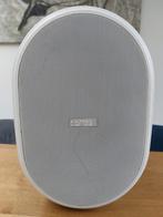 APart OVO8P active speaker 60W RMS woofer, Audio, Tv en Foto, Luidsprekerboxen, Overige merken, Subwoofer, Nieuw, Ophalen of Verzenden