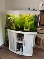 Jewel aquarium met meubel, Ophalen