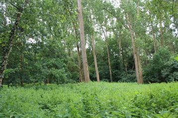 Grond te koop in Brasschaat beschikbaar voor biedingen