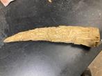 Ivoren neushoorntand., Antiek en Kunst, Kunst | Beelden en Houtsnijwerken, Ophalen