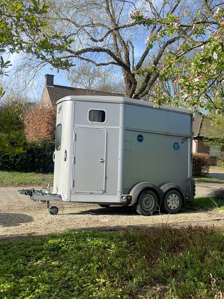 Van i for Williams, Dieren en Toebehoren, Ophalen of Verzenden, Zo goed als nieuw