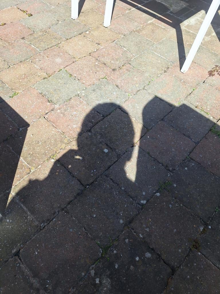 Klinkers, Tuin en Terras, Ophalen, Klinkers