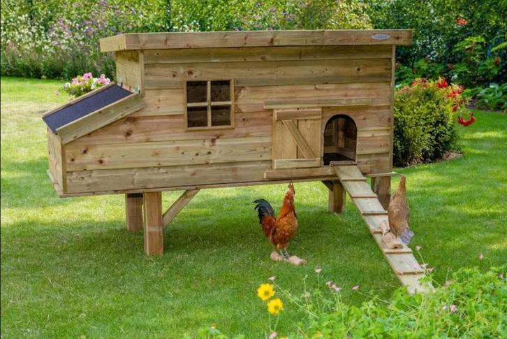 Kippenhok Finn, Dieren en Toebehoren, Pluimvee | Toebehoren, Nieuw, Kippenhok of Kippenren, Ophalen of Verzenden