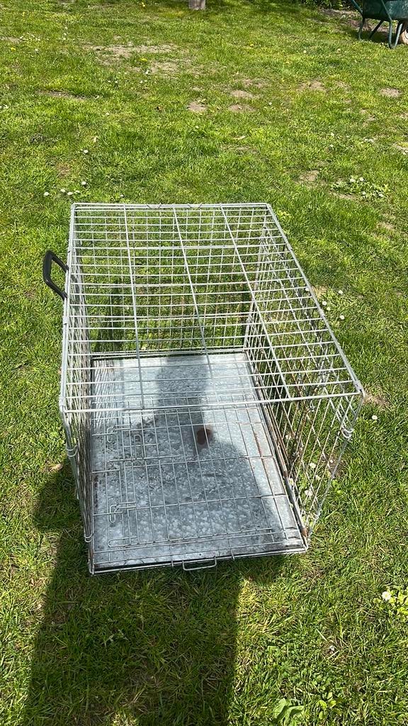 Honden bench, Ophalen, Zo goed als nieuw