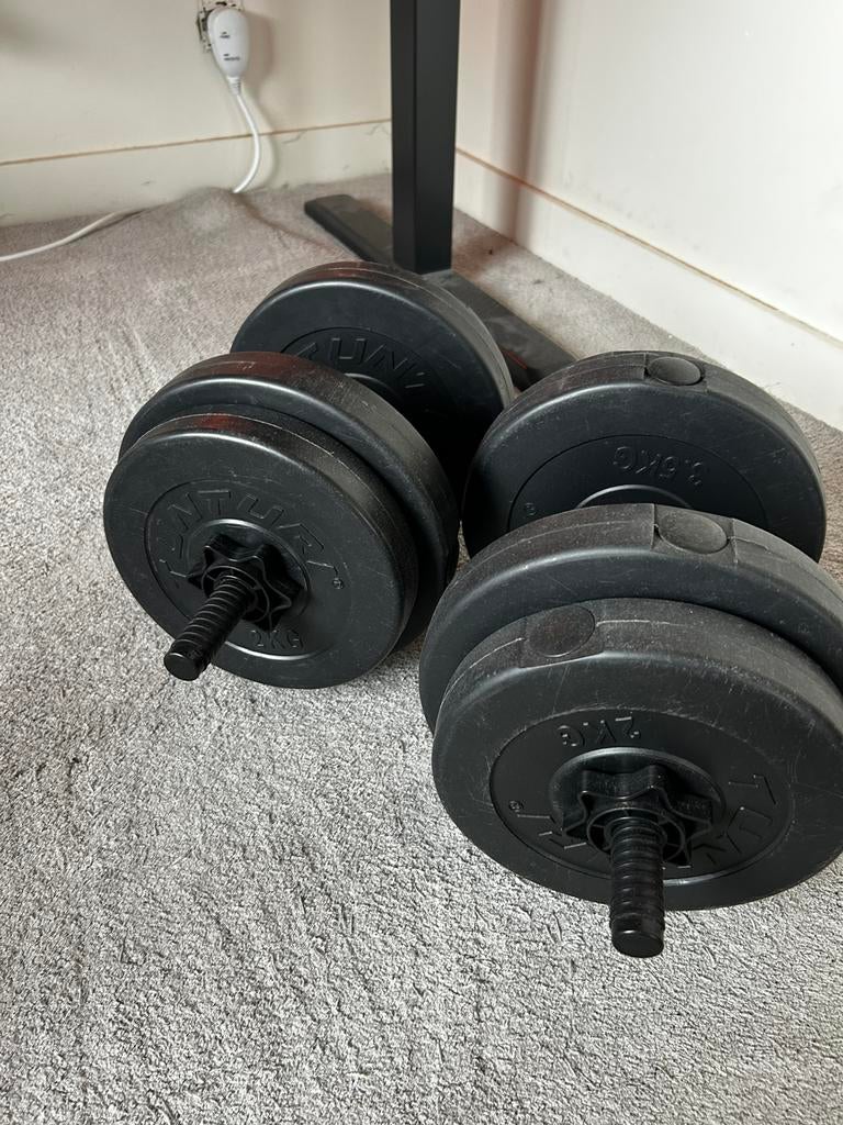 Gewichten, dumbells, Ophalen, Zo goed als nieuw
