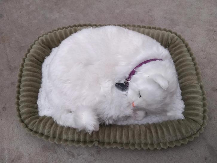 chat endormi blanc PERFECT PETZZZ -  on dirait un vrai !, Enfants & Bébés, Jouets | Peluches, Neuf, Chat, Enlèvement ou Envoi