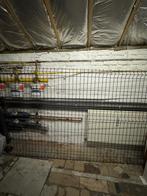 Panneau de clôture, Tuin en Terras, Ophalen, Nieuw, Overige materialen, Gaashekwerk