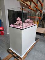 WaterBox 130.4 + sump (fleecefilter ready), Dieren en Toebehoren, Ophalen