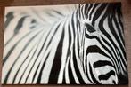 IKEA schilderij „Zebra” op canvas 78cm x 1,17m, Ophalen