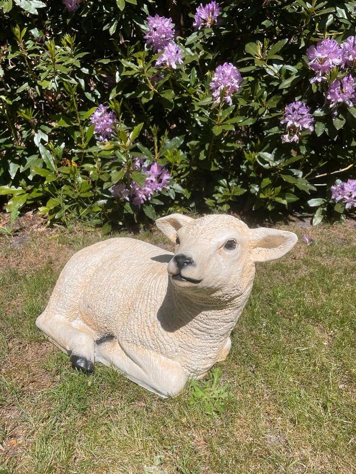 Image : texel, mouton, agneau, jardin, ferme, 55 cm, Jardin & Terrasse, Statues de jardin, Neuf, Animal, Synthétique, Enlèvement