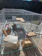 Knaagdierkooi, Dieren en Toebehoren, Kooi, Muis, Zo goed als nieuw, 75 tot 110 cm