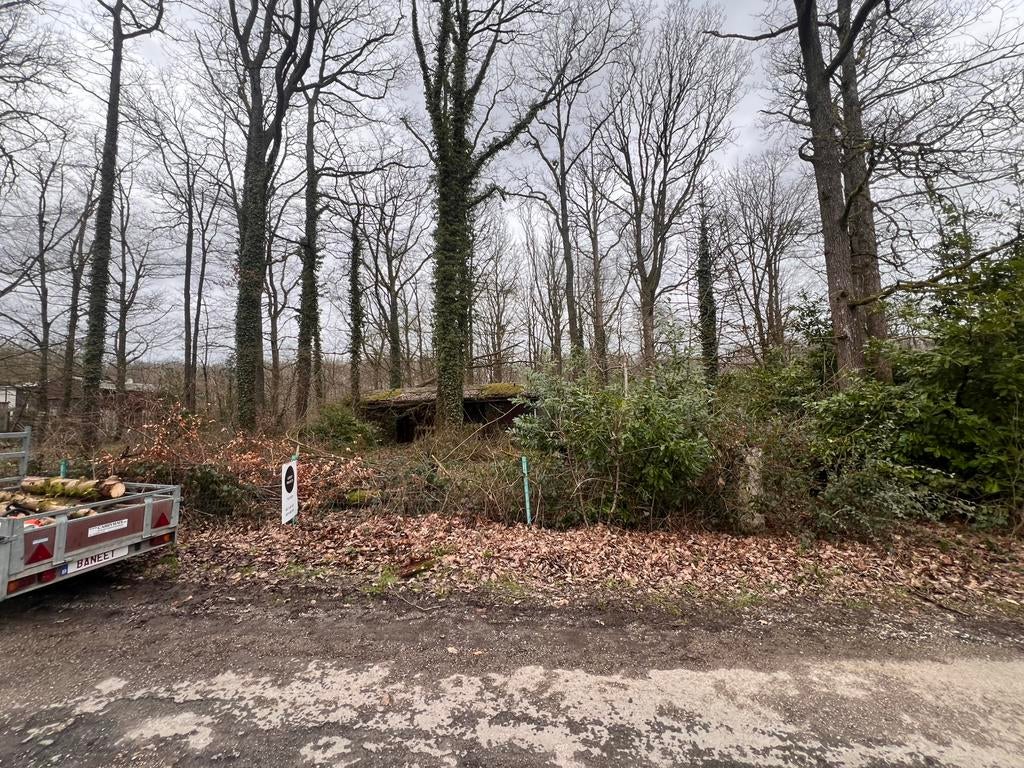 TE KOOP - Recreatiegrond met te renoveren chalet.