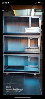 Cages d'élevage, Enlèvement, Neuf, Bois, Cage d'élevage