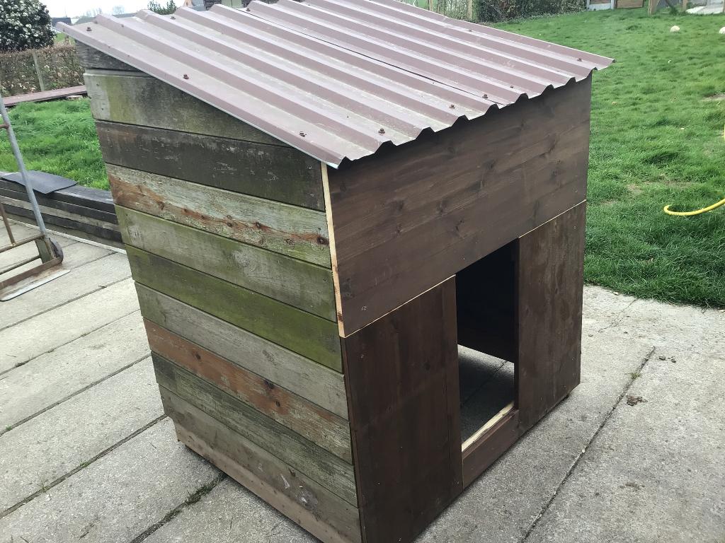 Hondenhok, Ophalen, 100 cm of meer, Hondenhok, 110 cm of meer