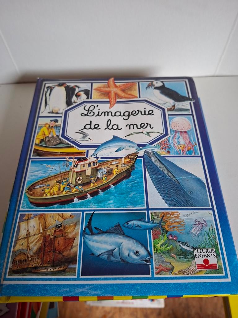L'imagerie de la mer, Livres, Enlèvement
