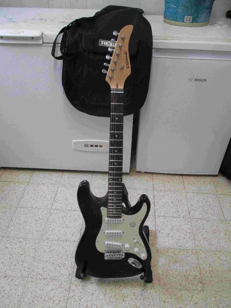 Gitaar Giant + Hudson, Muziek en Instrumenten, Ophalen, Zo goed als nieuw