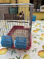 Kline distelvink man 2025, Ophalen, Zo goed als nieuw