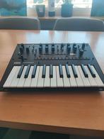 Korg monologue, Enlèvement