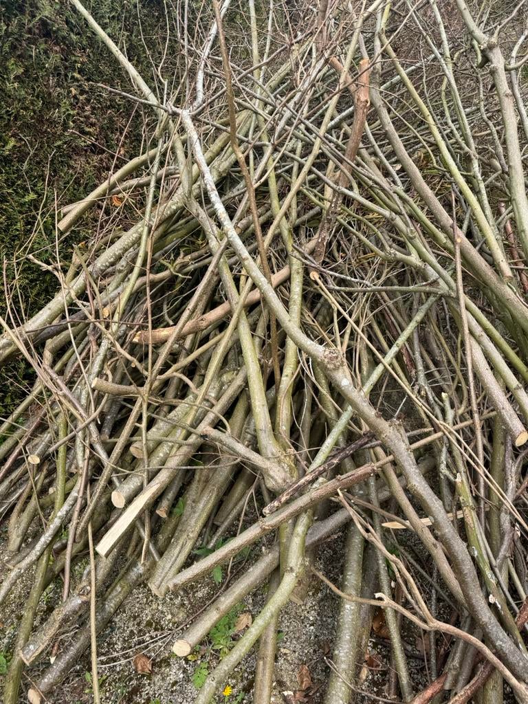 Takken hazelaar takkenwal, Ophalen