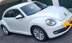 VW Beetle 1,6 TDi, Auto's, Euro 5, Leder, Particulier, 1598 cc