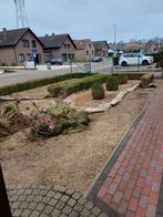 Dolomiet, Tuin en Terras, Ophalen, Geel, Dolomiet