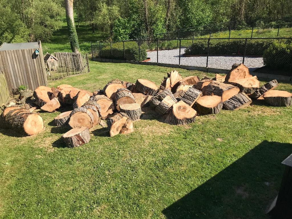 brandhout, 6 m³ of meer, Ophalen, Overige houtsoorten, Stammen