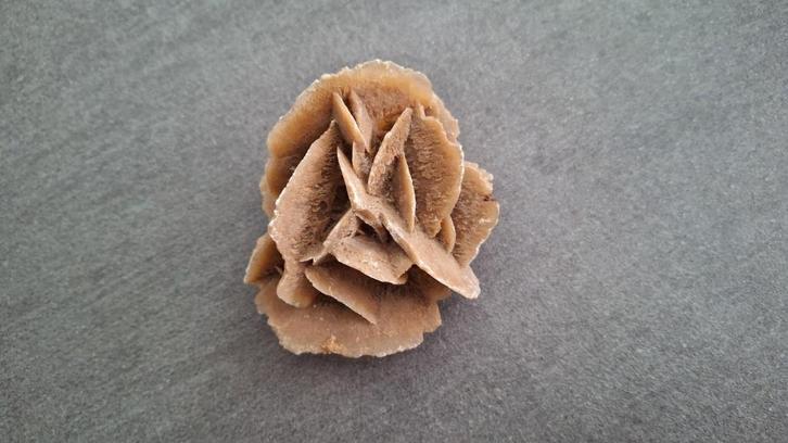 Authentieke Woestijnroos Mineraal - Natuurlijk Kunstwerk & D, Verzamelen, Mineralen en Fossielen, Overige typen, Ophalen