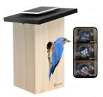 Eindejaarpromo nestkast met live camera, Ophalen of Verzenden, Nieuw