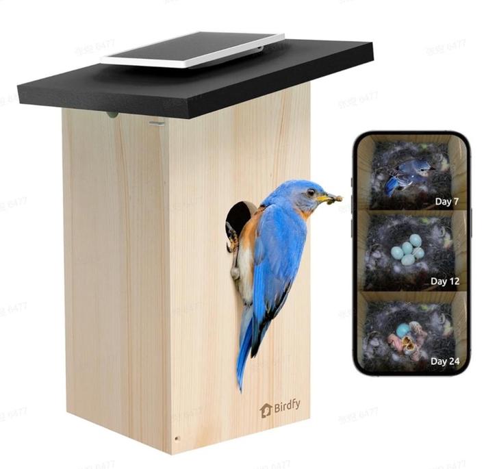 Eindejaarpromo nestkast met live camera, Tuin en Terras, Vogelhuisjes en Vogelbaden, Nieuw, Ophalen of Verzenden