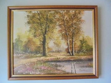 Schilderij landschap kunstwerk gesigneerd R. Wolters beschikbaar voor biedingen