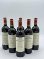 Château Maucaillou Moulis Médoc 2017 (lot de 6 x 75 cl), Frankrijk, Nieuw, Ophalen of Verzenden, Rode wijn