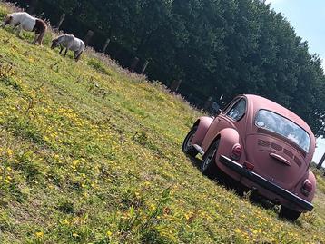 Kever 1300, Auto's, Volkswagen, Particulier, Te koop
