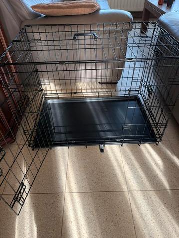 Honden bench beschikbaar voor biedingen