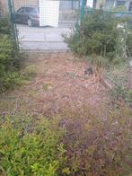 parking extérieur verrouillable 3 voitures st andries 8200, Immo, Garages & Places de parking, Bruges