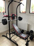 Pretorians Hanterbank met pull up bar, Sport en Fitness, Fitnessmaterialen, Ophalen, Zo goed als nieuw, Overige typen