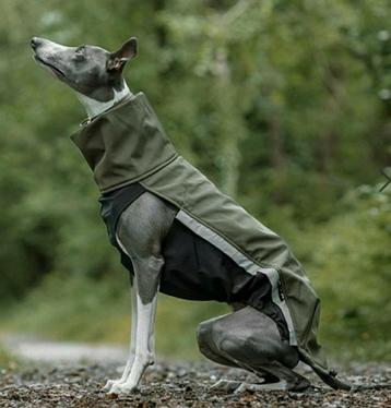 Groene hondenjas geschikt voor Italiaans windhondje beschikbaar voor biedingen