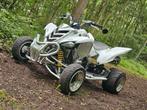 Raptor 700* Tb etat* Vendu prêt à immatriculer !, Motoren, Quads en Trikes